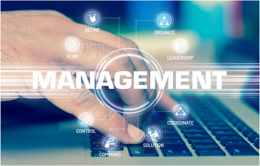 best CMS for media companies
